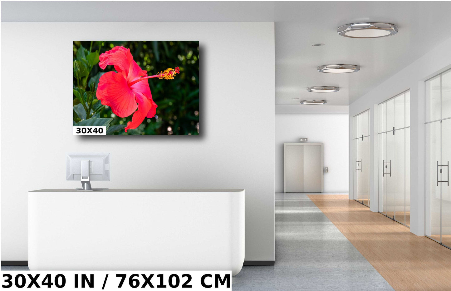 Hibiscus Hues: Radiant Charm of a Blooming Red Hibiscus Wall Art Nature Flower Metal Canvas Print
