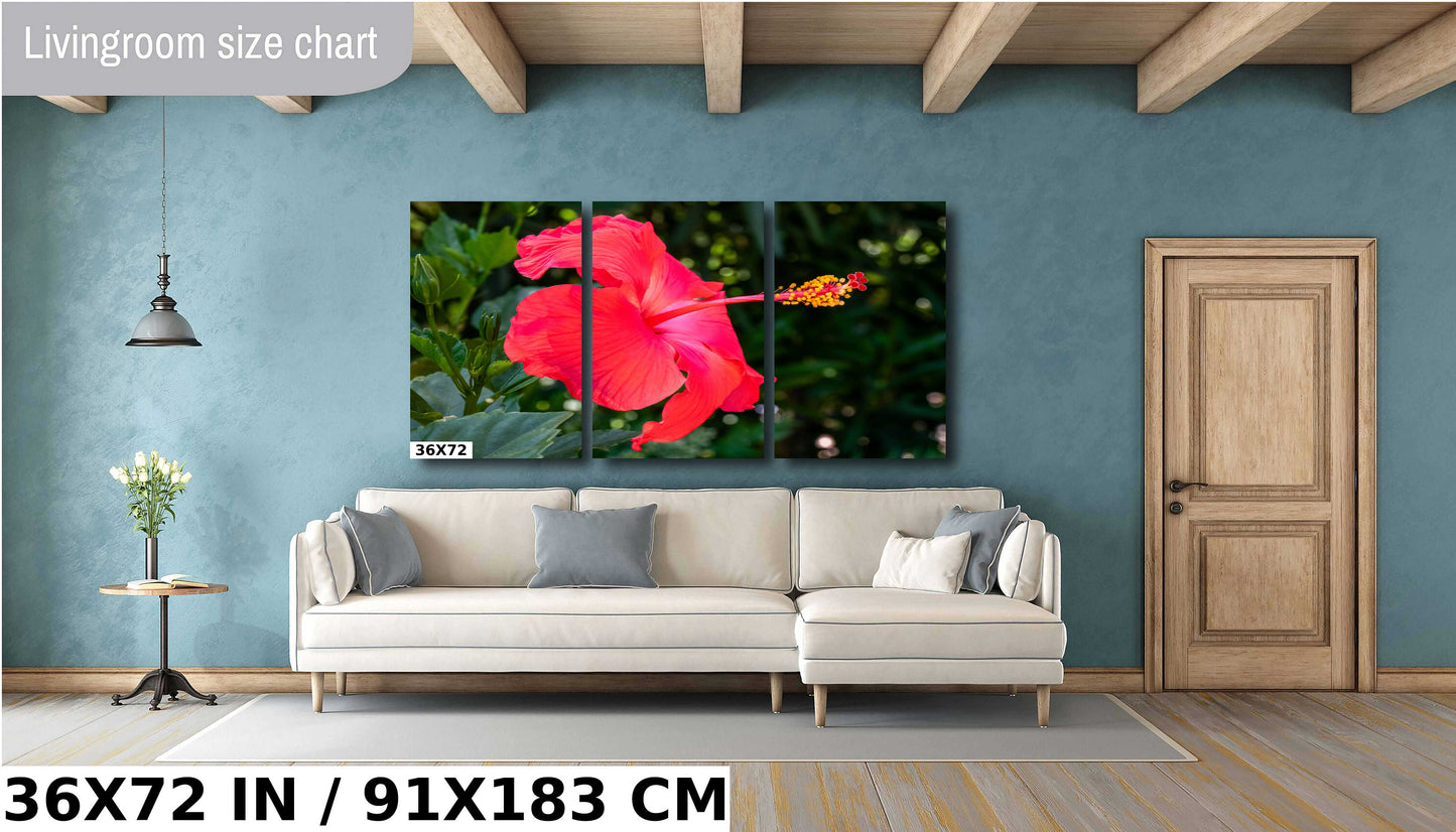 Hibiscus Hues: Radiant Charm of a Blooming Red Hibiscus Wall Art Nature Flower Metal Canvas Print