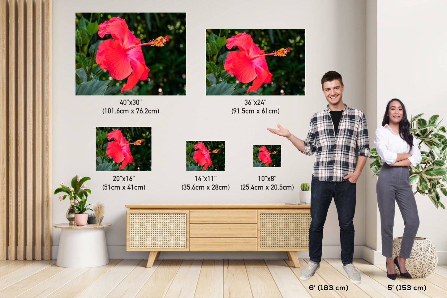 Hibiscus Hues: Radiant Charm of a Blooming Red Hibiscus Wall Art Nature Flower Metal Canvas Print