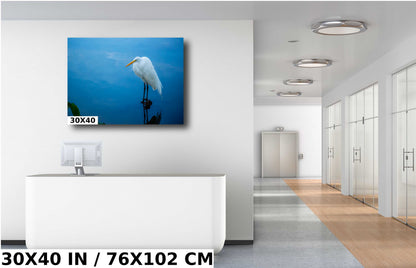Pristine Plumage: The White Great Egret's Effortless Elegance Wall Art Metal Acrylic Print Bird Photography