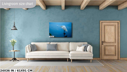Pristine Plumage: The White Great Egret's Effortless Elegance Wall Art Metal Acrylic Print Bird Photography