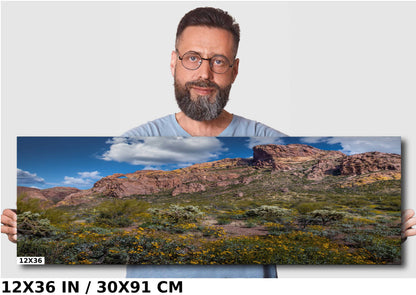 Organ Pipe Cactus National Monument Giant Rock and Wildflowers Wall Art Arizona Desert Landscape