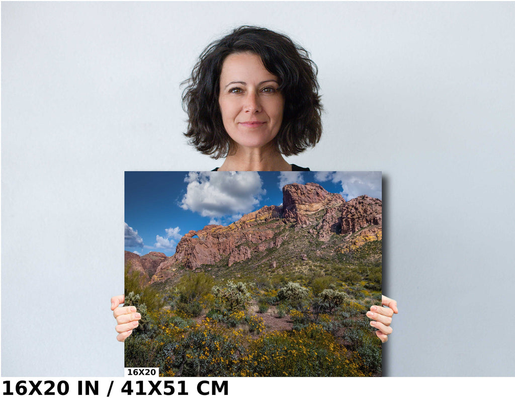 Organ Pipe Cactus National Monument Giant Rock and Wildflowers Wall Art Arizona Desert Landscape