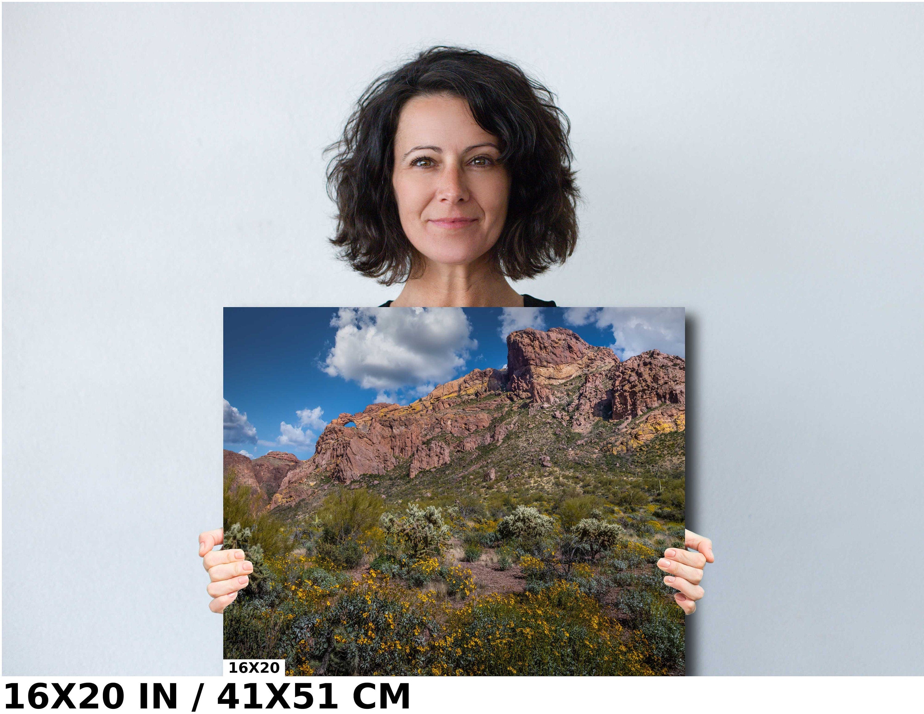 Organ Pipe Cactus National Monument Giant Rock and Wildflowers Wall Art Arizona Desert Landscape
