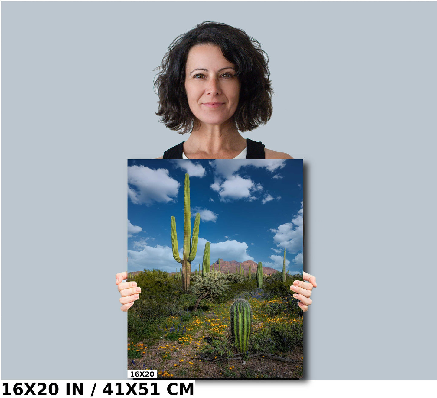 Reach for the Sky: Saguaro Cacti and Wildflowers in Organ Pipe Cactus National Monument Wall Art