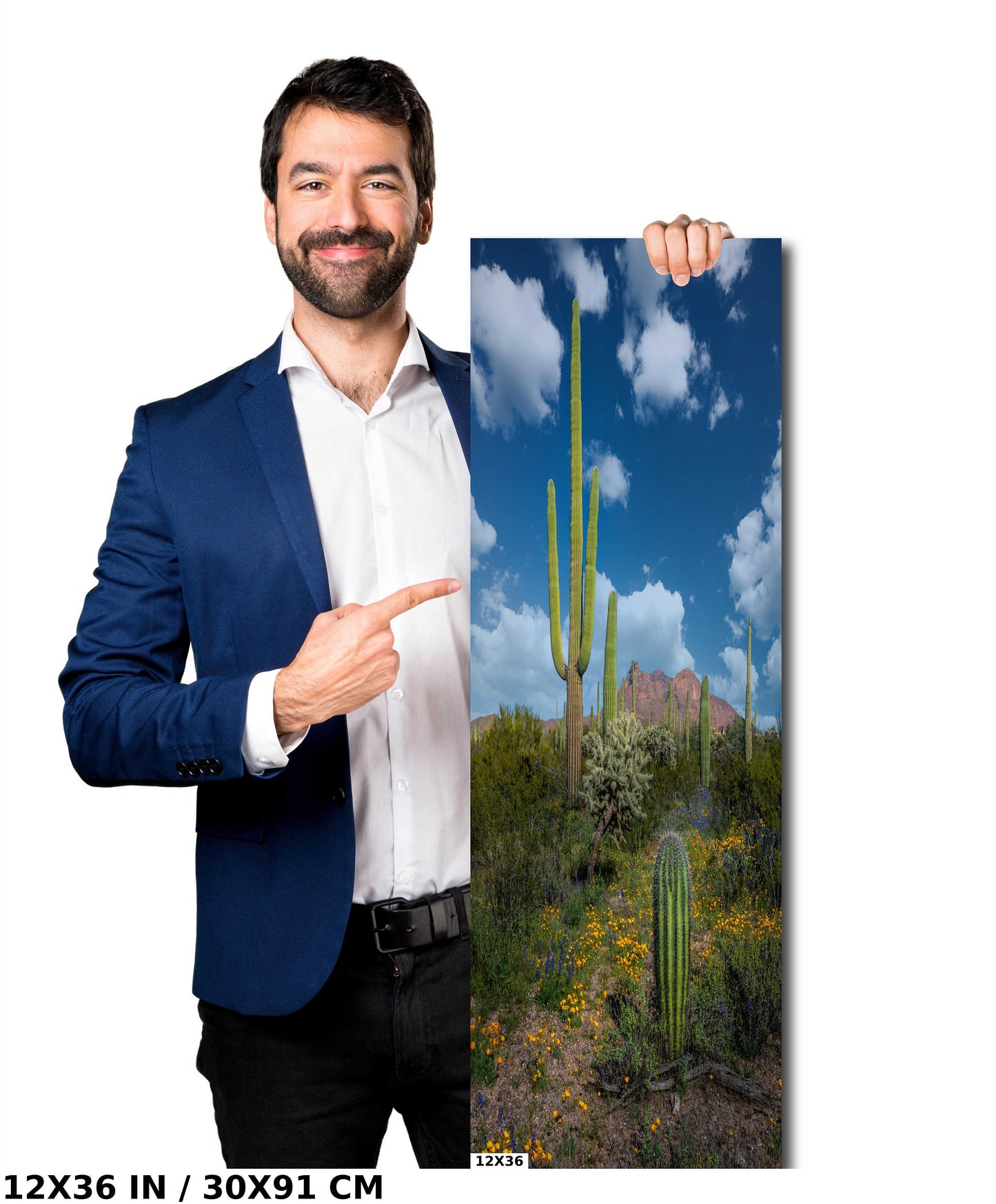 Reach for the Sky: Saguaro Cacti and Wildflowers in Organ Pipe Cactus National Monument Wall Art