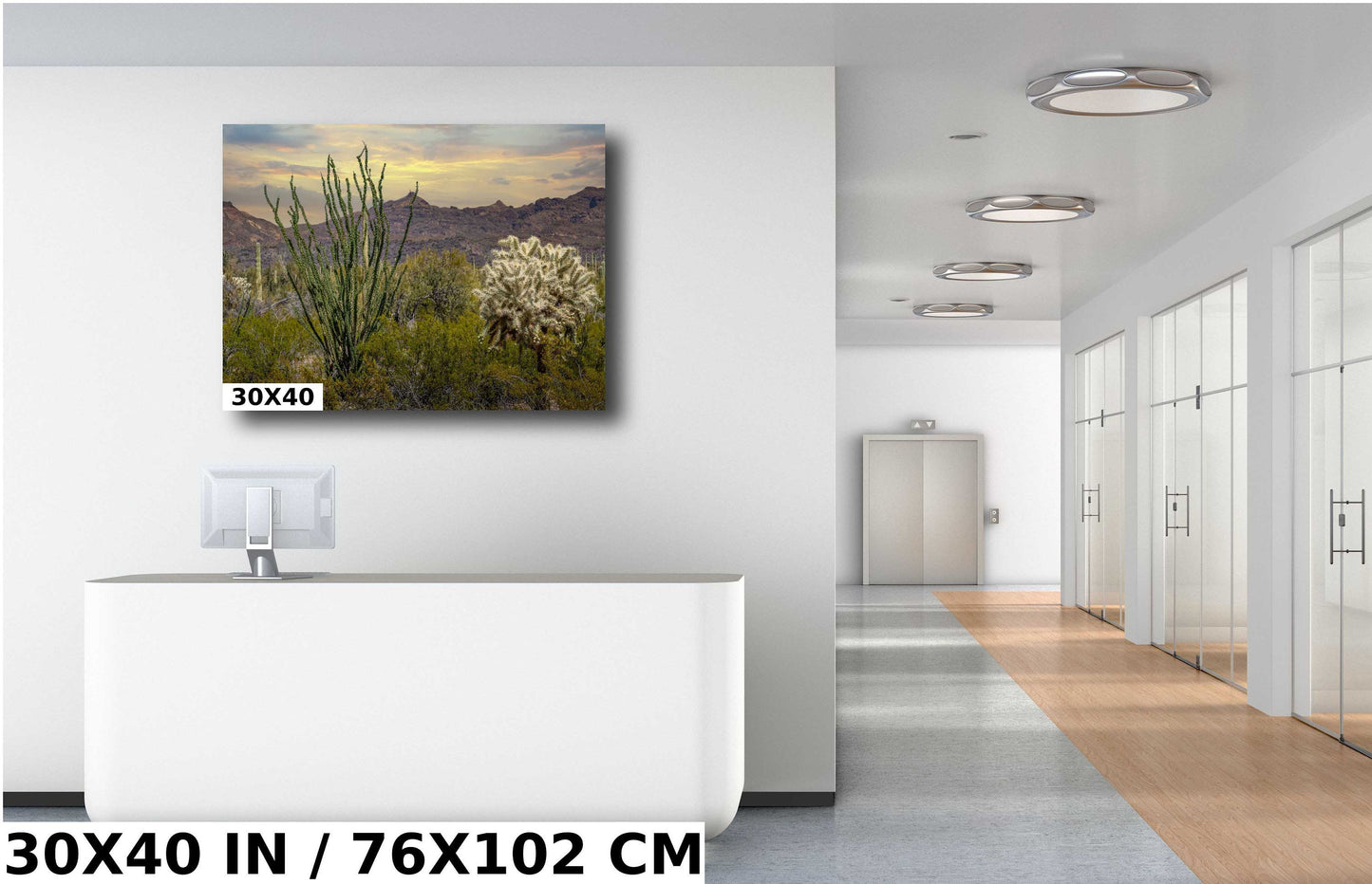 Ocotillo and Jumping Cholla in Organ Pipe Cactus National Monument Wall Art