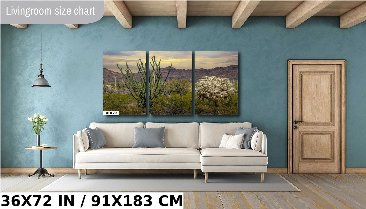 Ocotillo and Jumping Cholla in Organ Pipe Cactus National Monument Wall Art