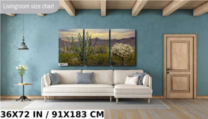 Ocotillo and Jumping Cholla in Organ Pipe Cactus National Monument Wall Art