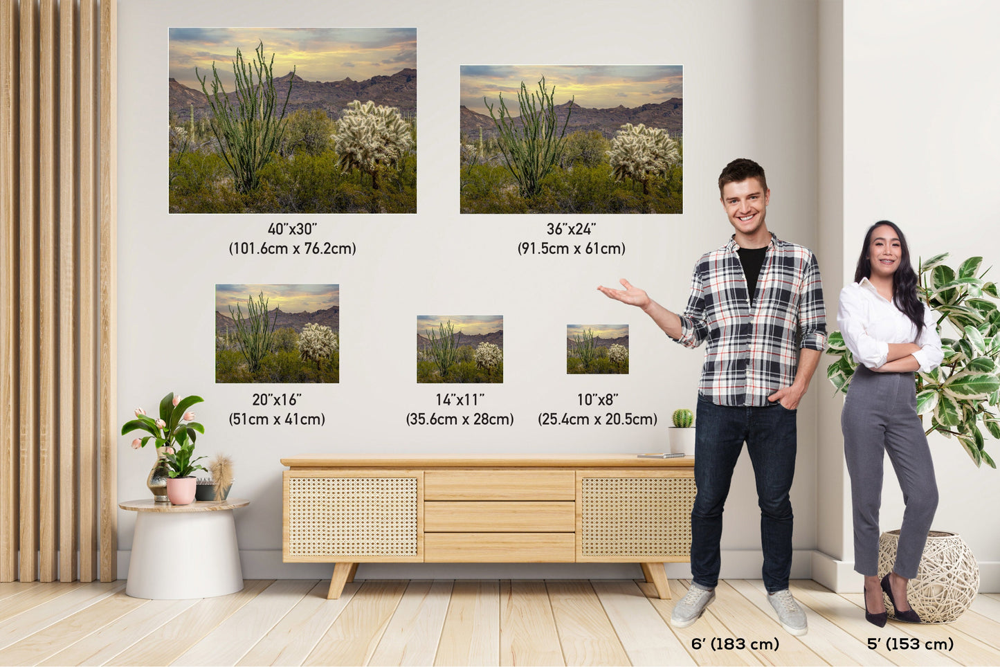 Ocotillo and Jumping Cholla in Organ Pipe Cactus National Monument Wall Art