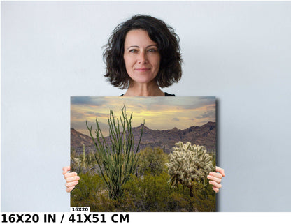 Ocotillo and Jumping Cholla in Organ Pipe Cactus National Monument Wall Art