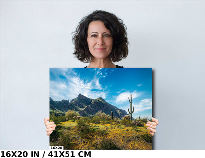 Picacho Peak Arizona Desert: Cactus and Wildflowers Photography Wall Art
