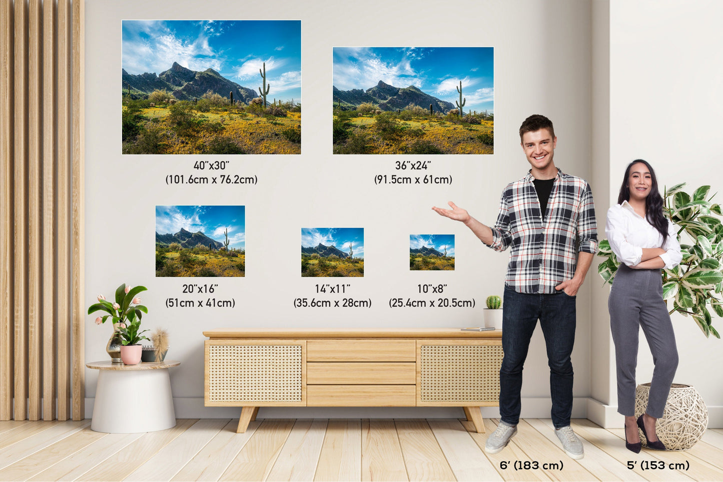 Picacho Peak Arizona Desert: Cactus and Wildflowers Photography Wall Art