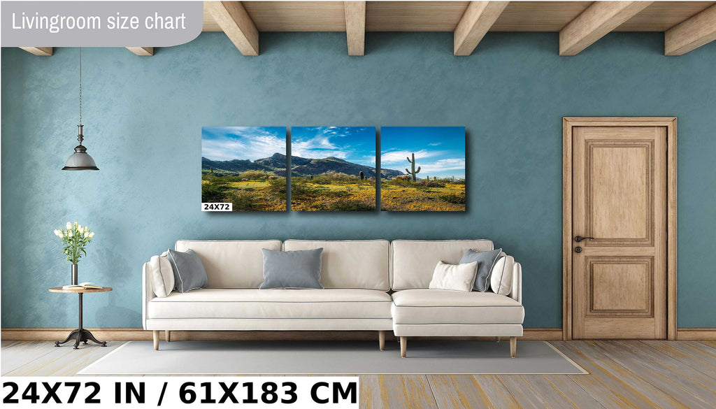 Picacho Peak Arizona Desert: Cactus and Wildflowers Photography Wall Art