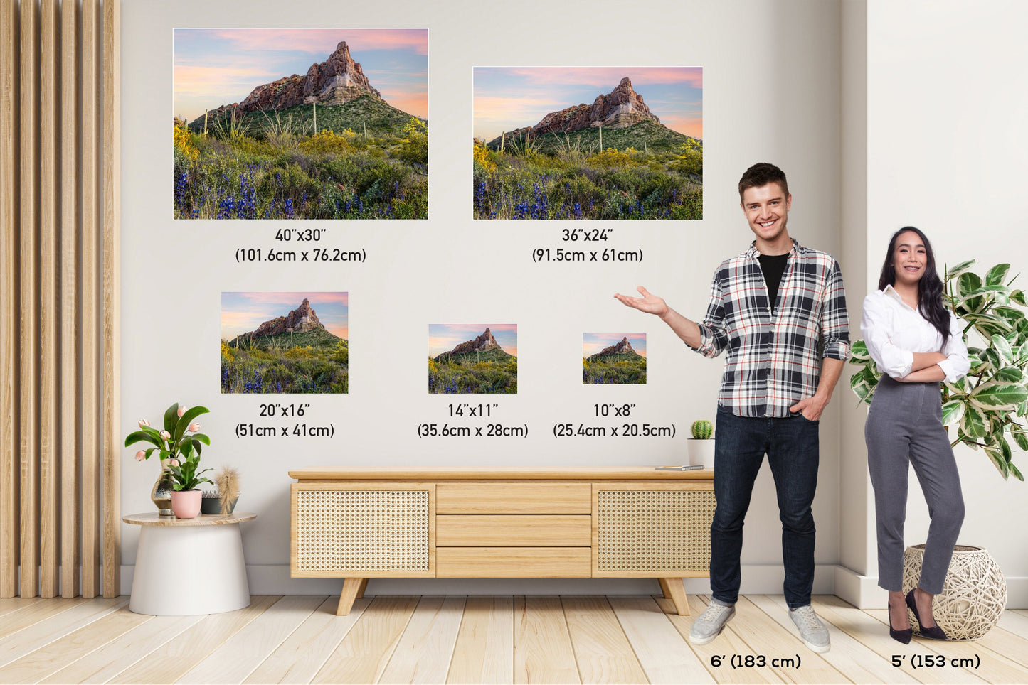 High Big Rocks and Wildflowers Organ Pipe Cactus National Monument Wall Art Arizona