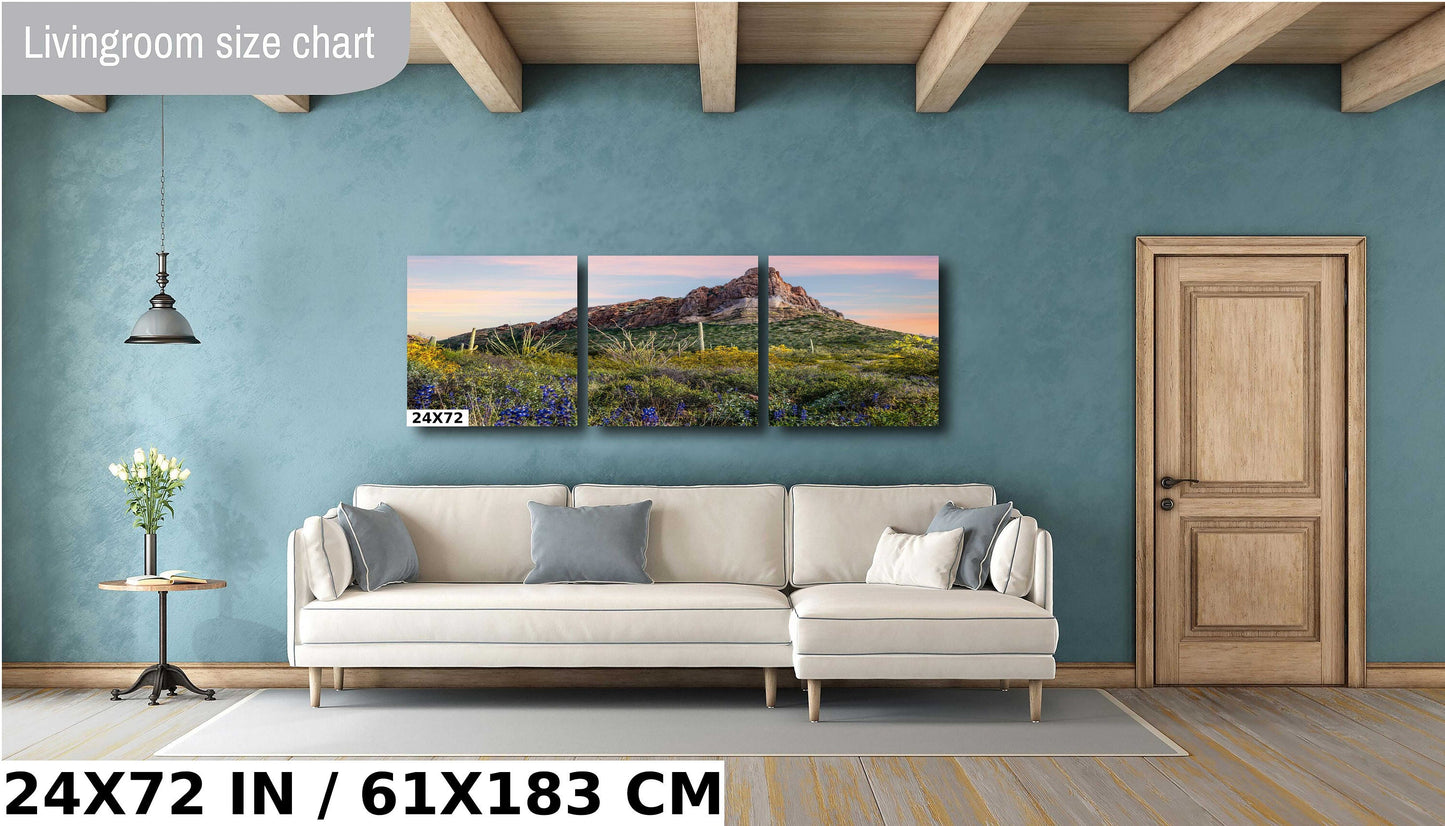 High Big Rocks and Wildflowers Organ Pipe Cactus National Monument Wall Art Arizona