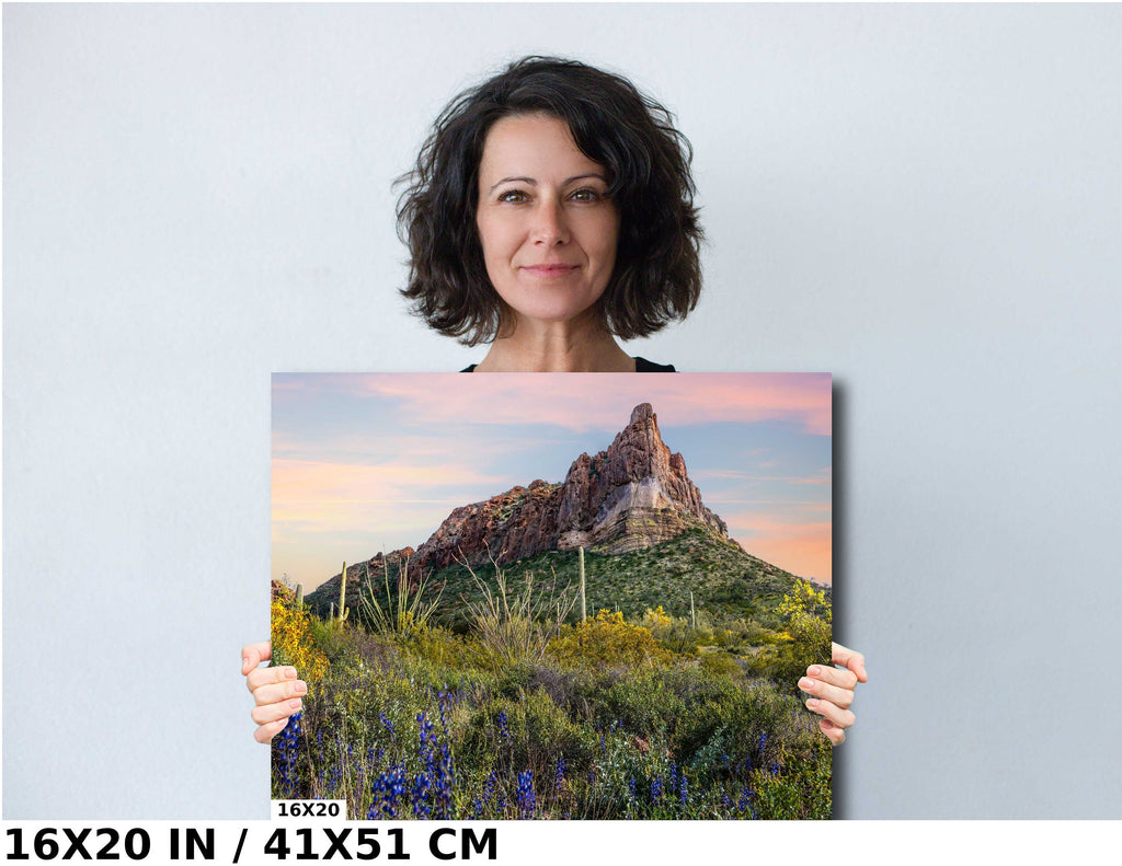 High Big Rocks and Wildflowers Organ Pipe Cactus National Monument Wall Art Arizona