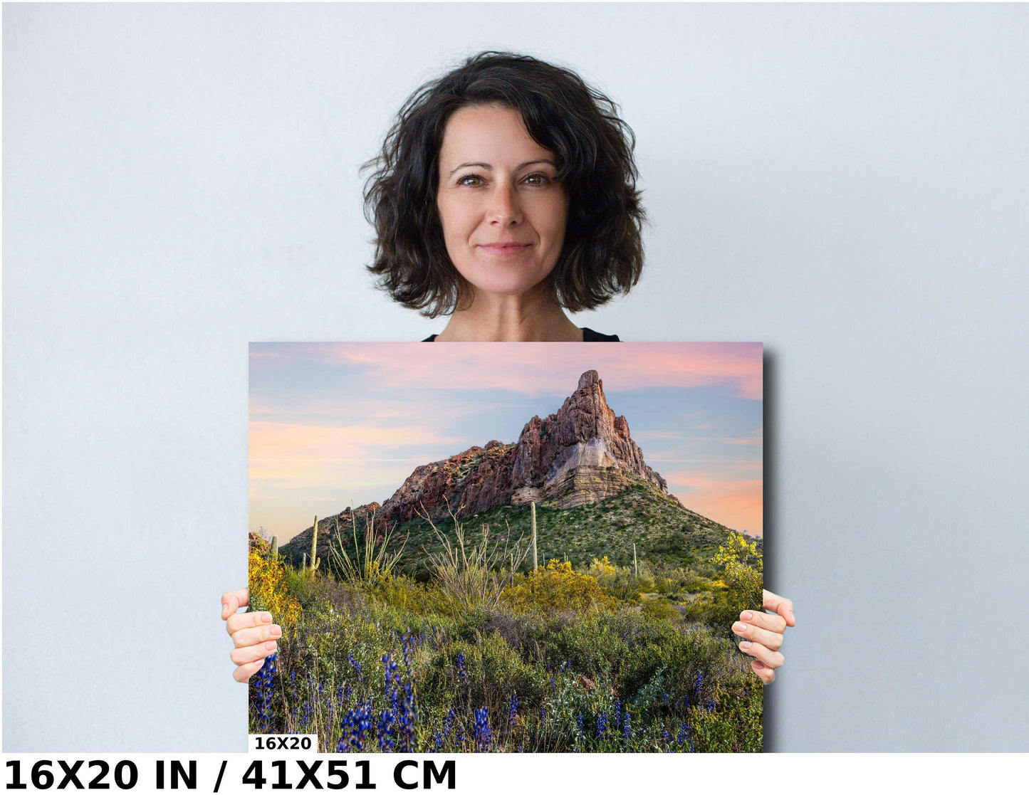 High Big Rocks and Wildflowers Organ Pipe Cactus National Monument Wall Art Arizona