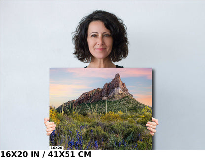 High Big Rocks and Wildflowers Organ Pipe Cactus National Monument Wall Art Arizona