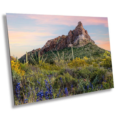 High Big Rocks and Wildflowers Organ Pipe Cactus National Monument Wall Art Arizona