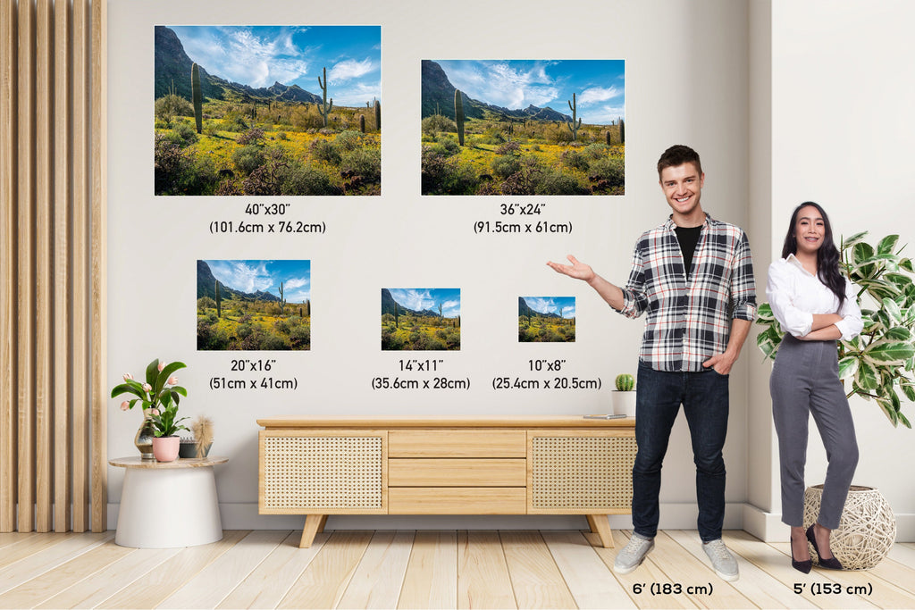 Picacho Peak Super Bloom: Arizona Desert Saguaro Cacti & Wildflowers Wall Art