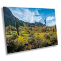 Picacho Peak Super Bloom: Arizona Desert Saguaro Cacti & Wildflowers Wall Art