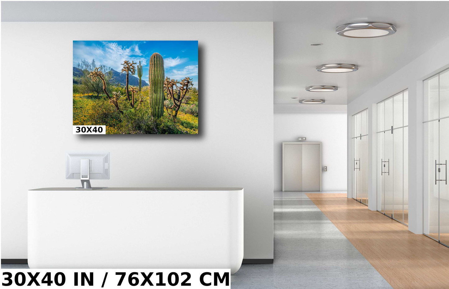Picacho Peak Cactus & Wildflower: Arizona Desert Wall Art