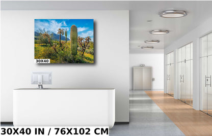 Picacho Peak Cactus & Wildflower: Arizona Desert Wall Art