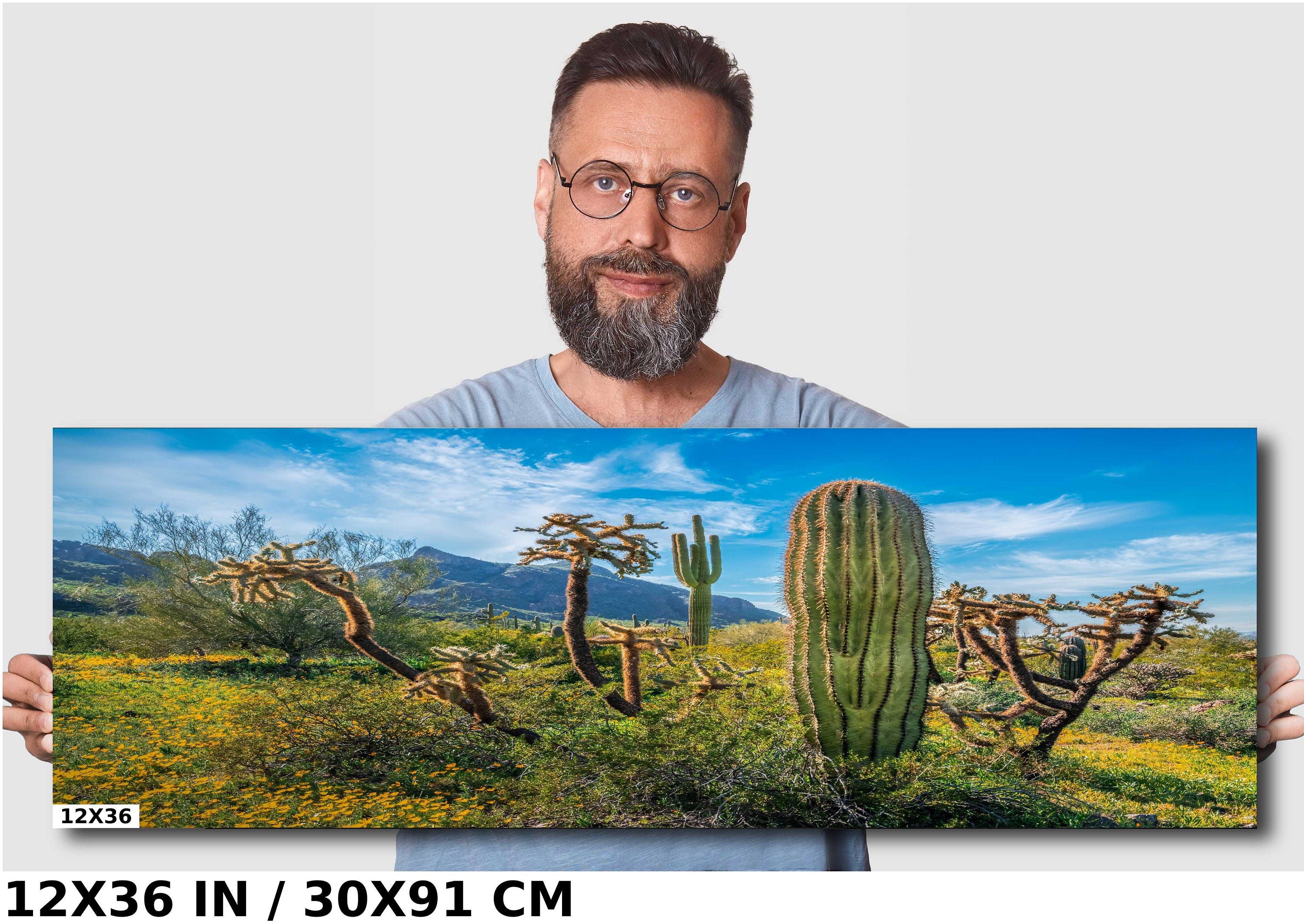 Picacho Peak Cactus & Wildflower: Arizona Desert Wall Art