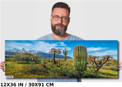 Picacho Peak Cactus & Wildflower: Arizona Desert Wall Art