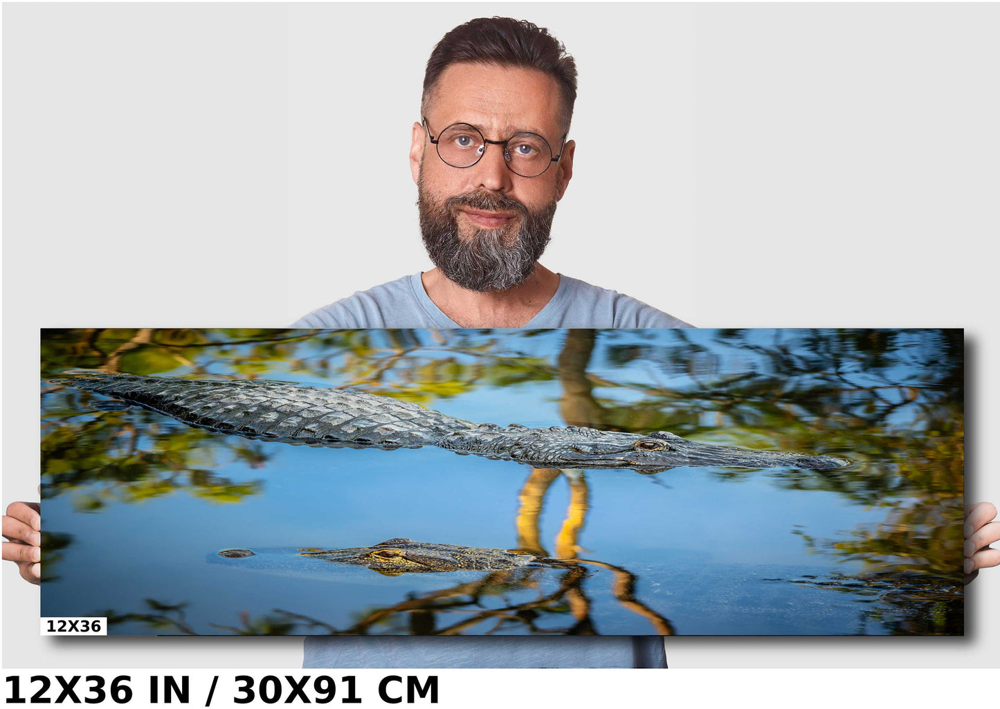 The Eyes Have It: Alligator's Alert Gaze in Serene Waters Wall Art Metal Acrylic Print Reptile Animal Photography