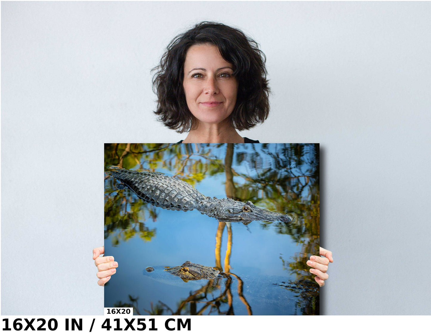 The Eyes Have It: Alligator's Alert Gaze in Serene Waters Wall Art Metal Acrylic Print Reptile Animal Photography