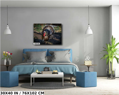 The Dandy Gobbler: Capturing the Splendor of Turkey Plumage Wall Art Metal Canvas Print Bronze Turkey Photography