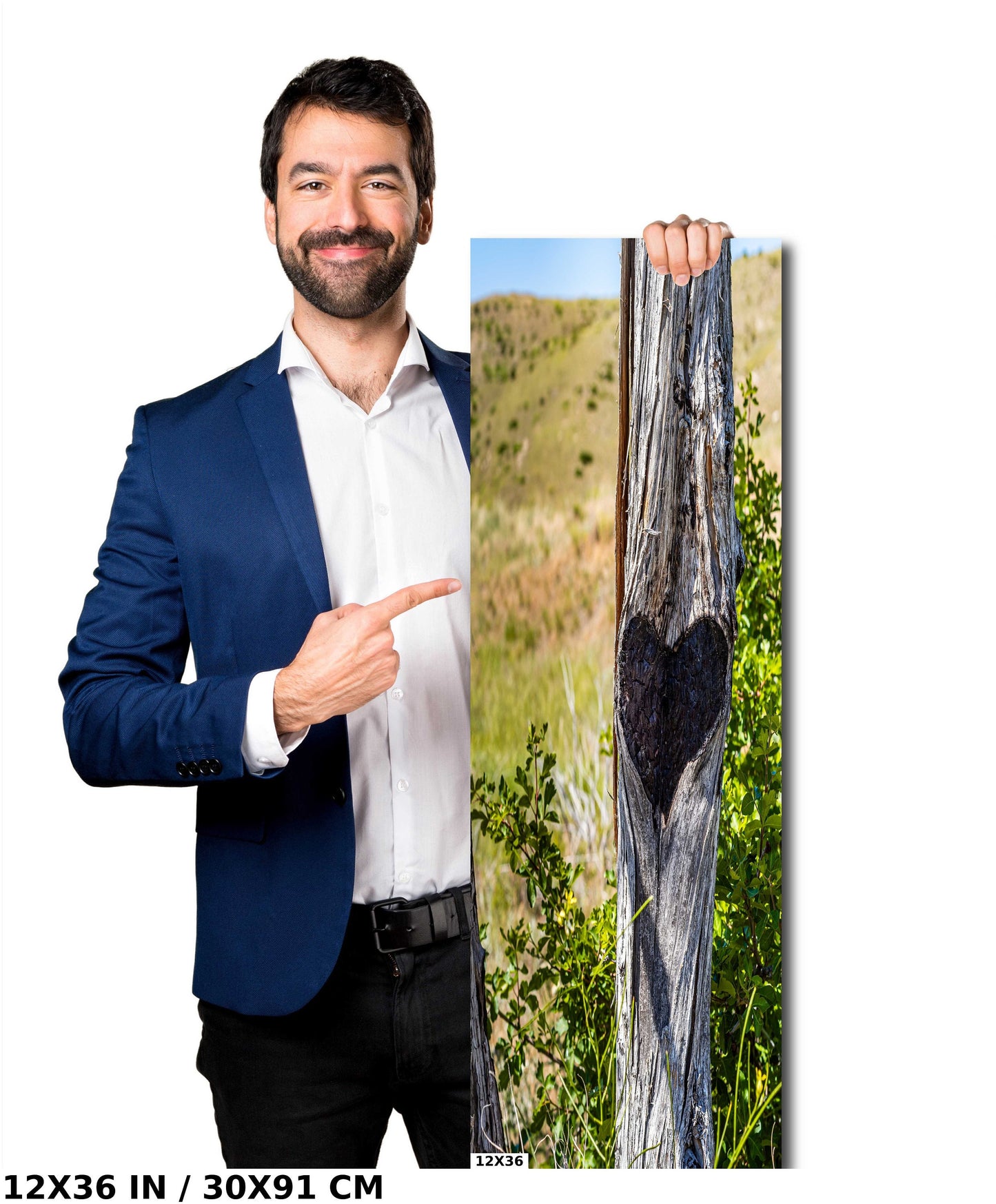 Lost Creek Falls Print: Montana Landscape Wall Art