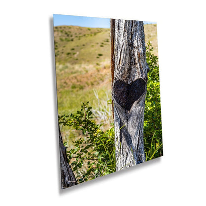 Lost Creek Falls Print: Montana Landscape Wall Art