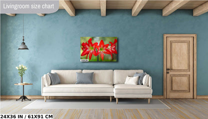 Blossom Brilliance: Hippeastrum Balentino Wall Art Amaryllis Metal Canvas Print Blooming Red Flower Photography