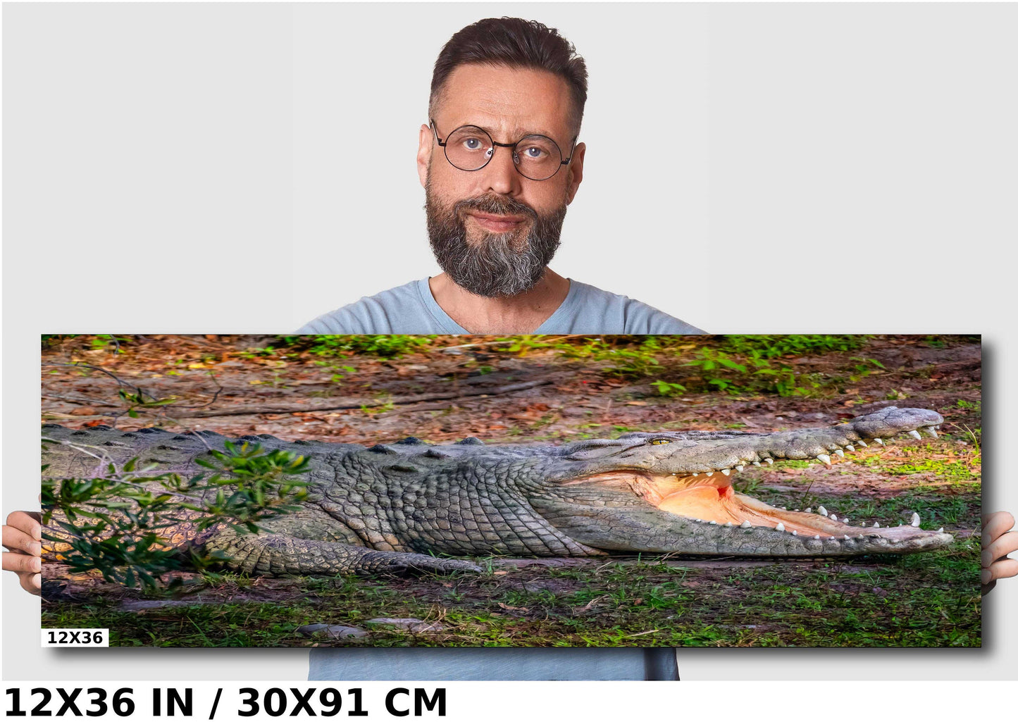 Predator's Gaze: Crocodile's Opening its Mighty Jaws Everglades Wall Art Metal Aluminum Print Retile Photography