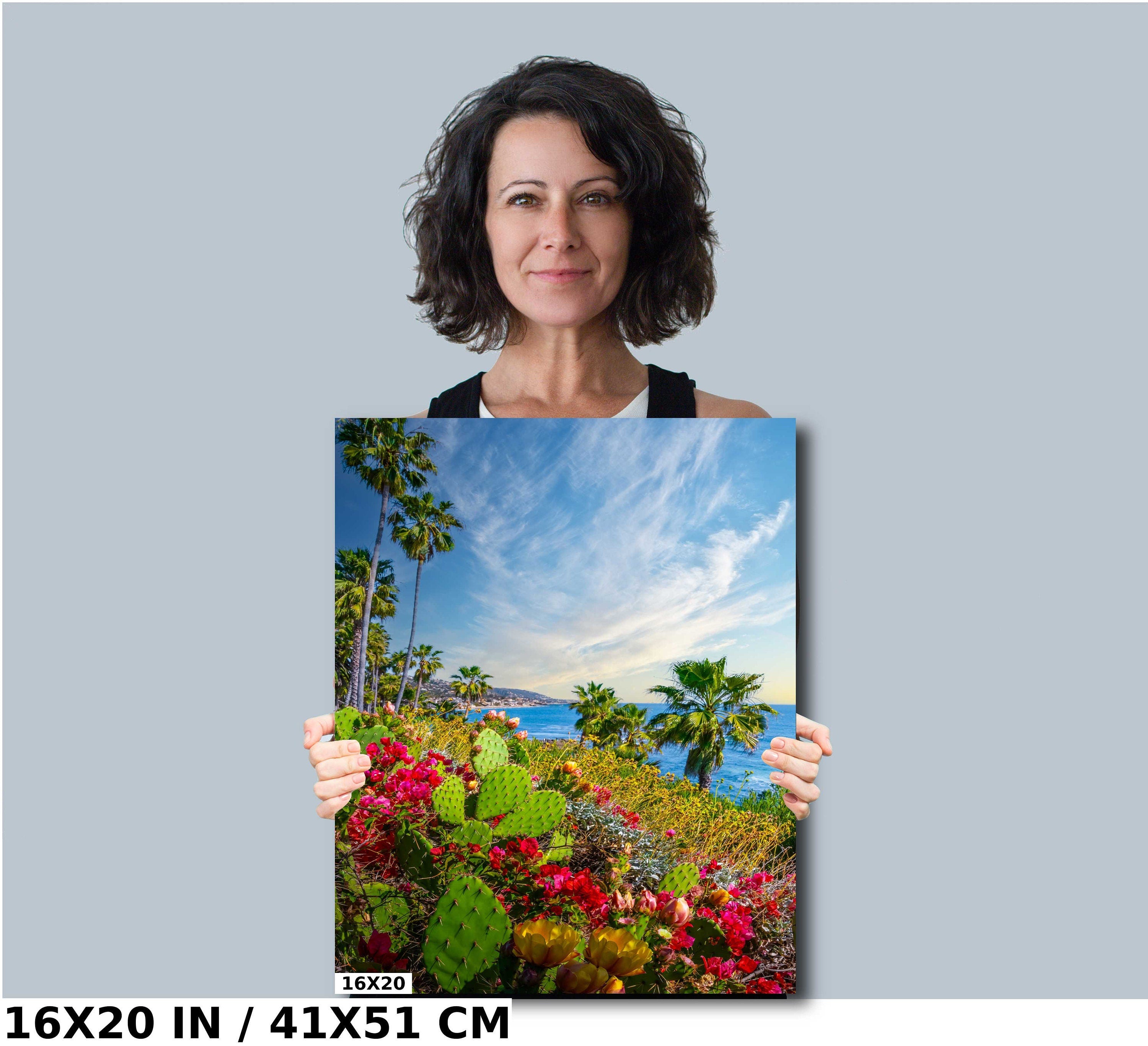 Laguna Beach Seascape Print: Barbary Fig Cactus, California Wall Art