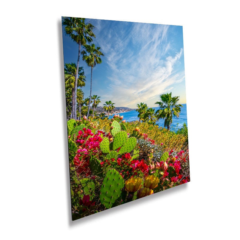 Laguna Beach Seascape Print: Barbary Fig Cactus, California Wall Art