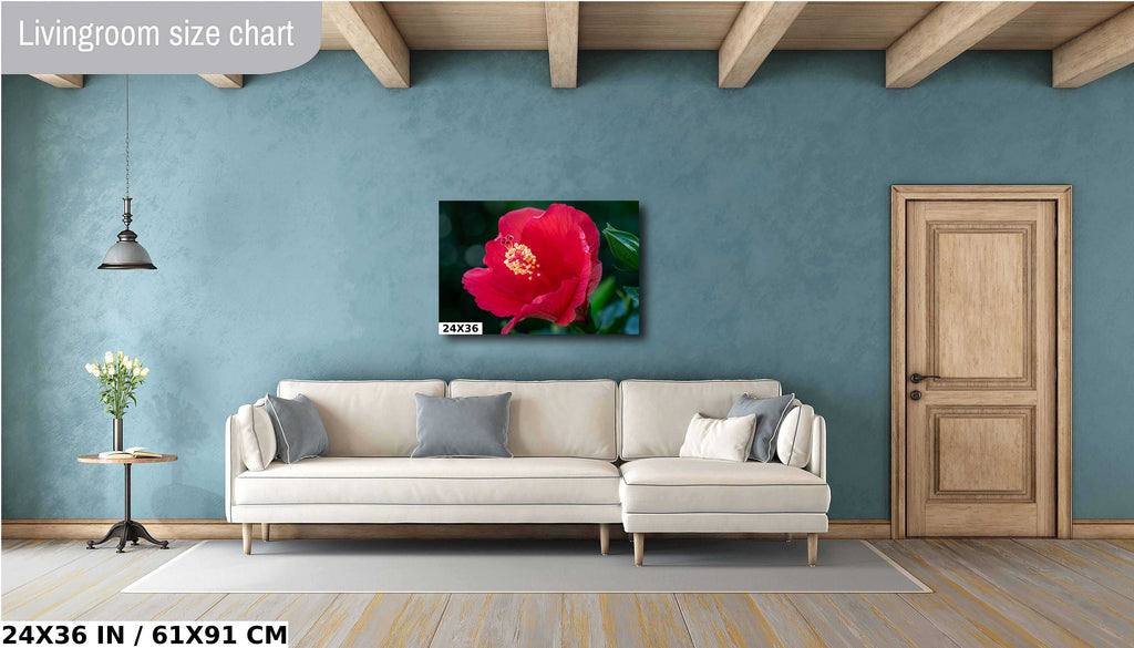 Floral Awakening: Red Hibiscus Flower About to Bloom Wall Art Metal Acrylic Print Flower Photography