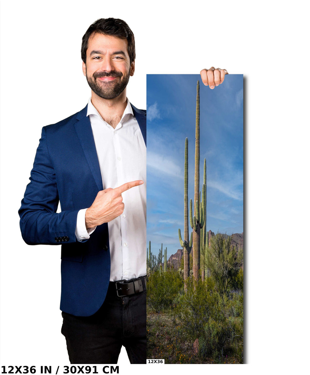 Arizona Poppies: Picacho Peak Wildflower Landscape Photography Wall Art
