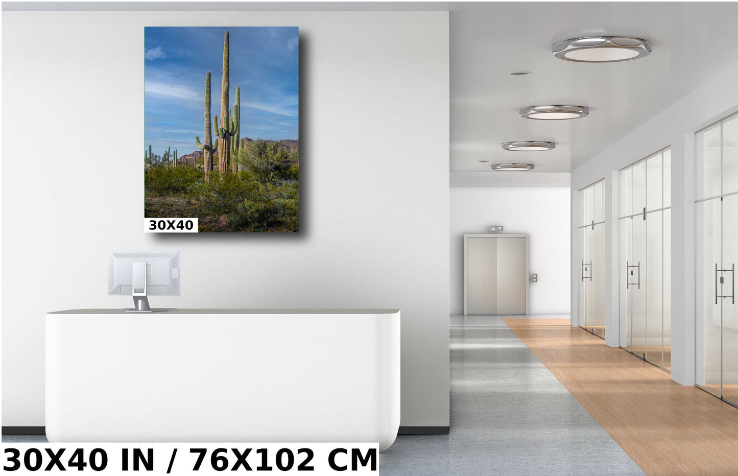Arizona Poppies: Picacho Peak Wildflower Landscape Photography Wall Art
