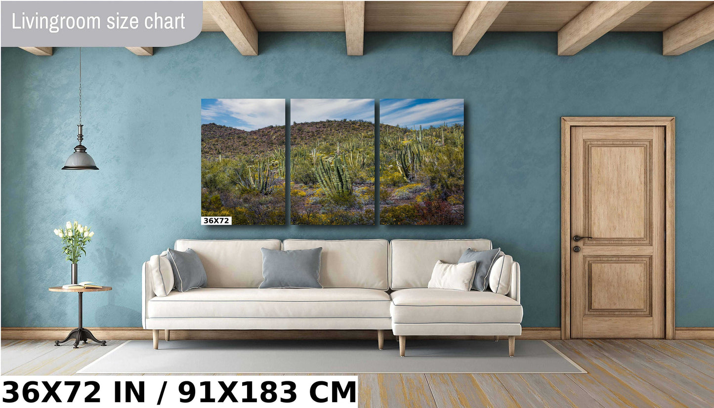 Desert Bouquet: Tiger Tailed Organ Pipe National Monument Cactus and Springtime Wildflowers Wall Art