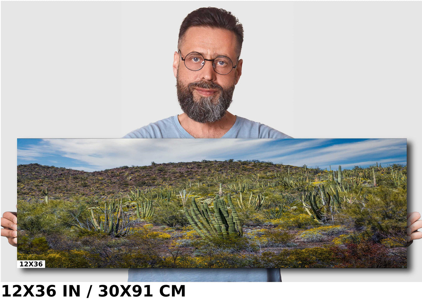 Desert Bouquet: Tiger Tailed Organ Pipe National Monument Cactus and Springtime Wildflowers Wall Art