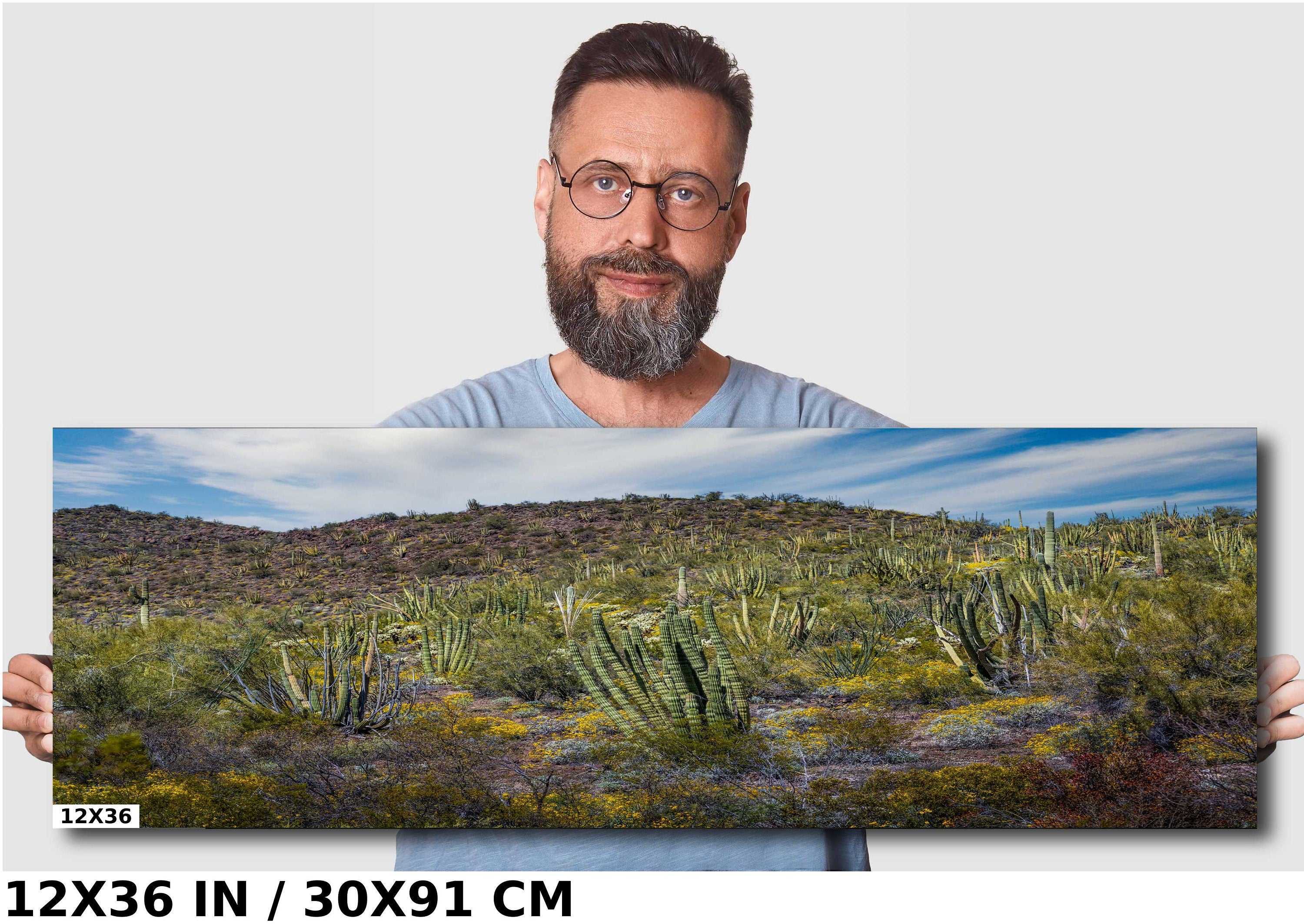 Desert Bouquet: Tiger Tailed Organ Pipe National Monument Cactus and Springtime Wildflowers Wall Art