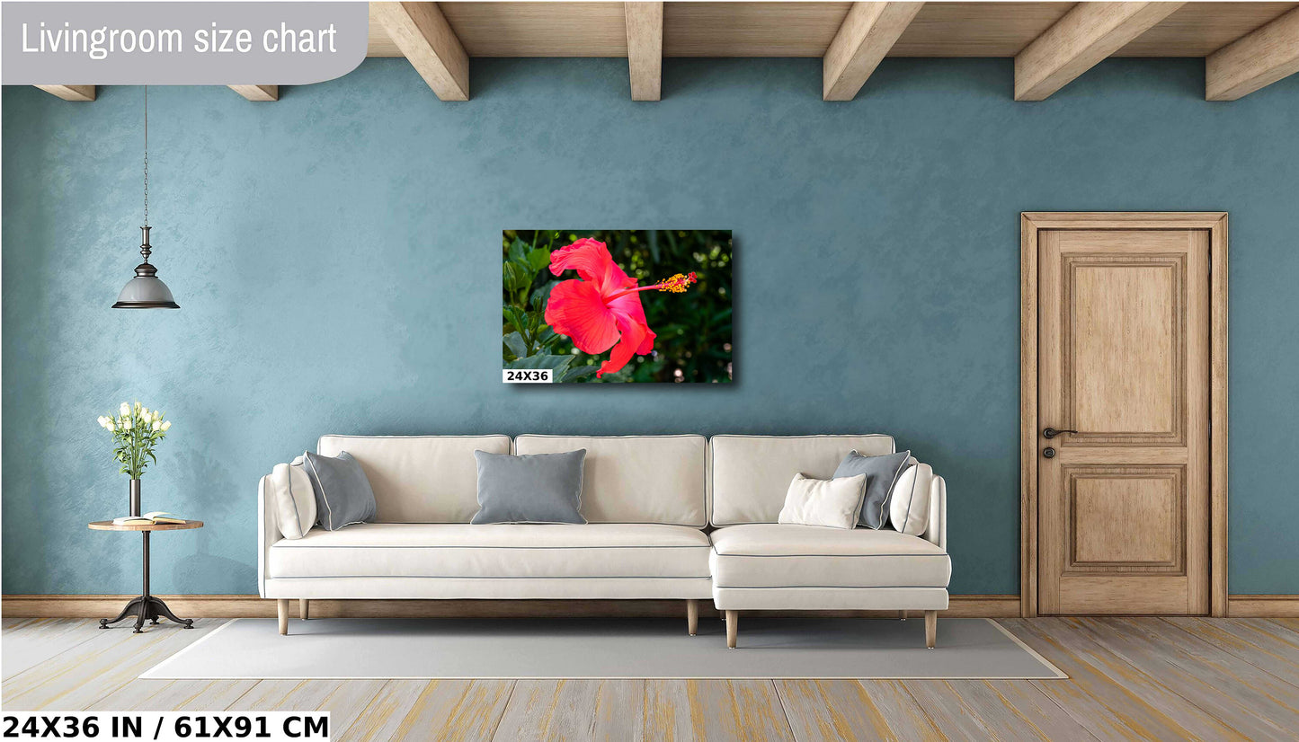 Hibiscus Hues: Radiant Charm of a Blooming Red Hibiscus Wall Art Nature Flower Metal Canvas Print