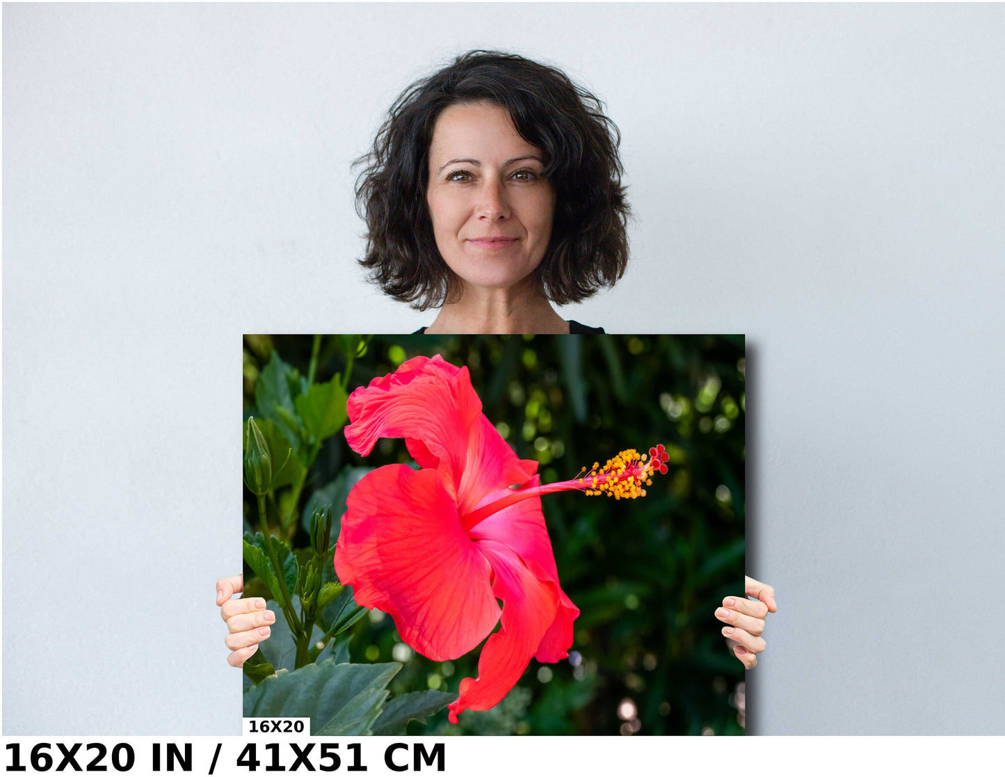 Hibiscus Hues: Radiant Charm of a Blooming Red Hibiscus Wall Art Nature Flower Metal Canvas Print