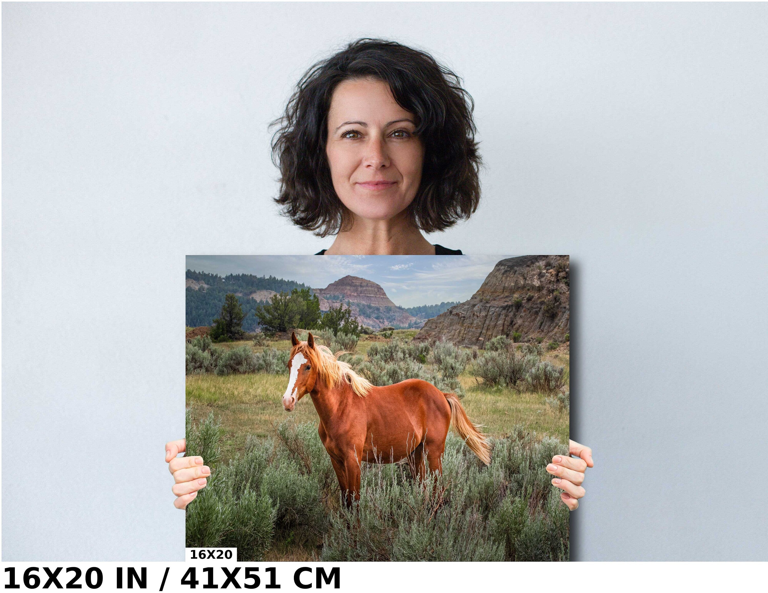 Wild Stallion Theodore Roosevelt National Park Photography Wall Art