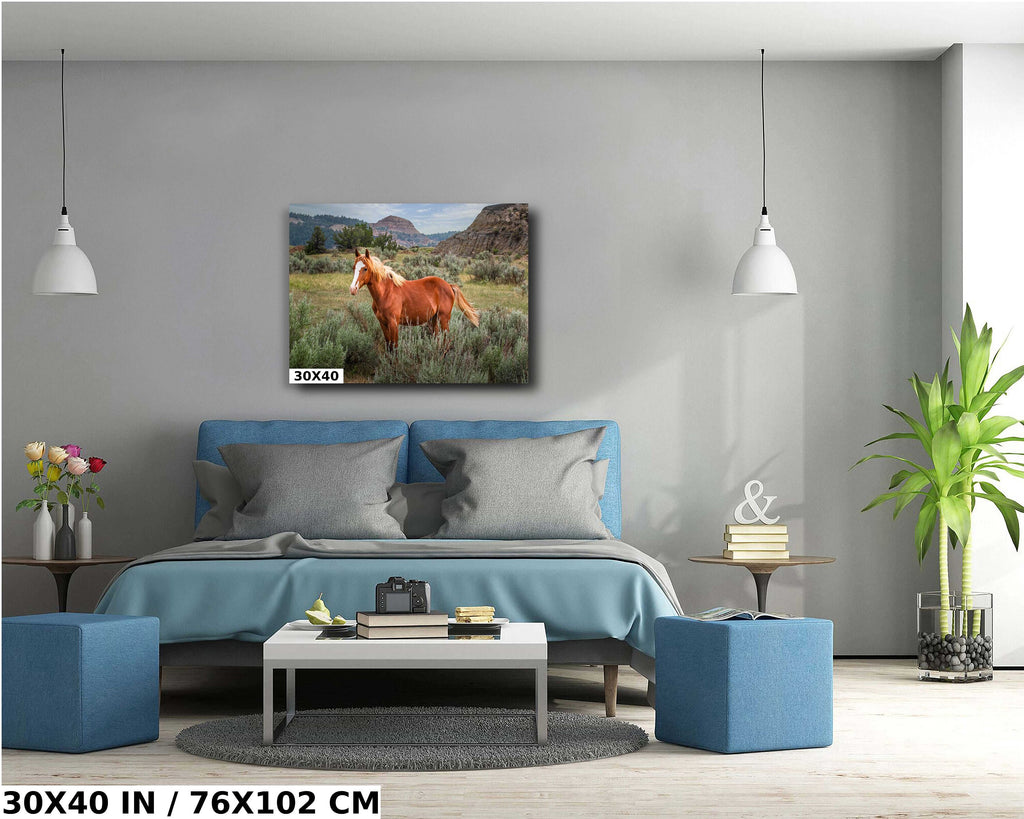 Wild Stallion Theodore Roosevelt National Park Photography Wall Art