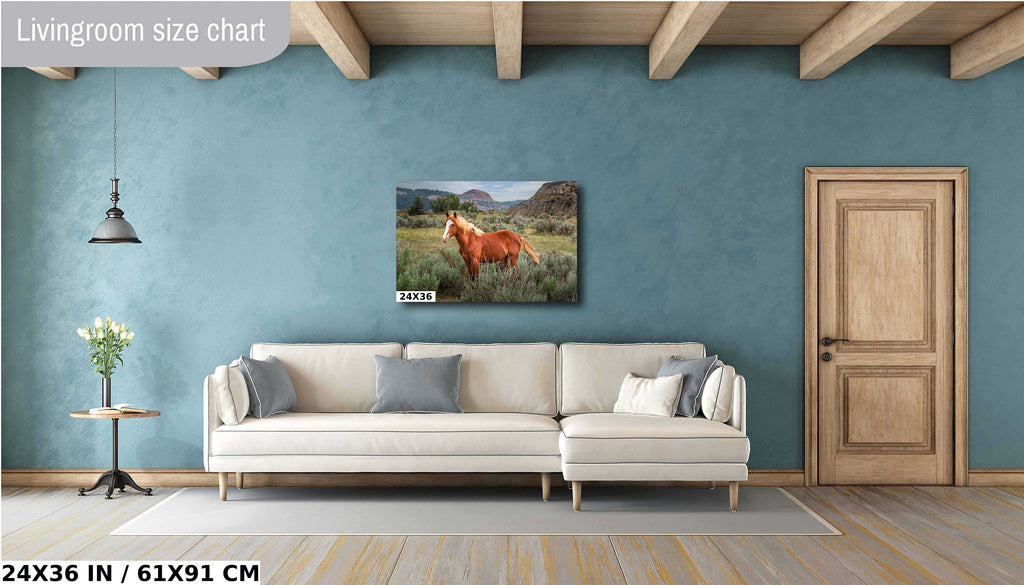 Wild Stallion Theodore Roosevelt National Park Photography Wall Art